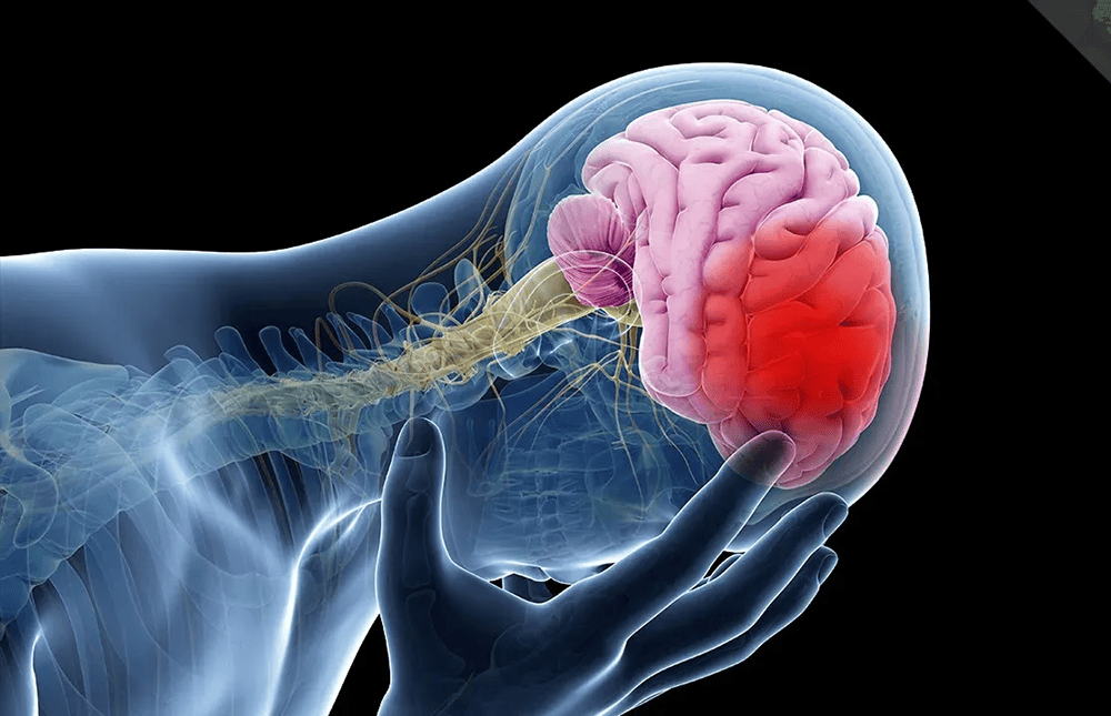 4-dau-hieu-canh-bao-con-dot-quy