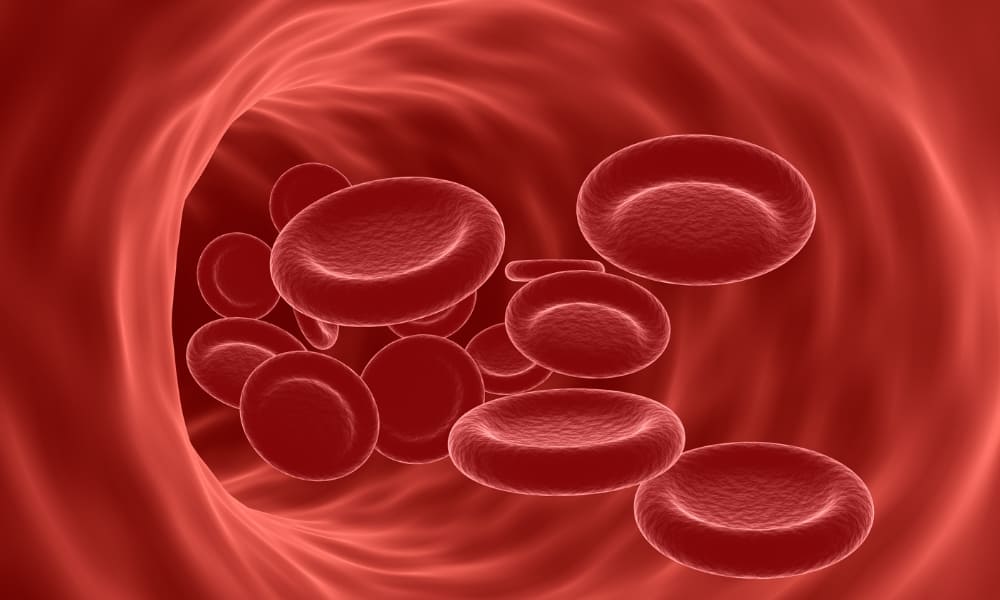 benh-thieu-mau-nguoi-gia