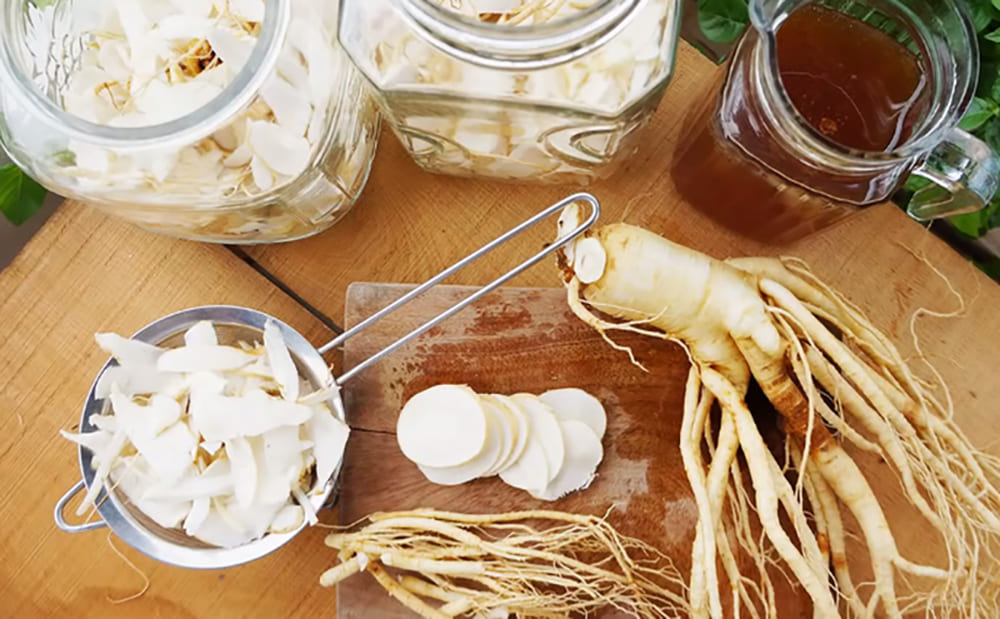cách dùng sâm tươi cho người già