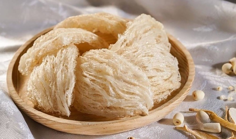 cách sử dụng yến sào cho người già