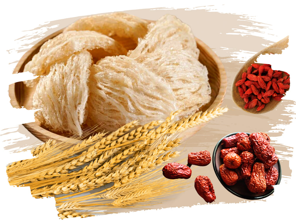 cách sử dụng yến sào cho người già