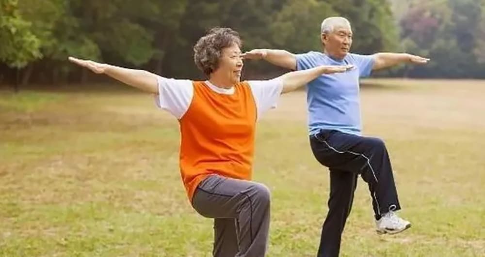 rối loạn tiền đình ở người già