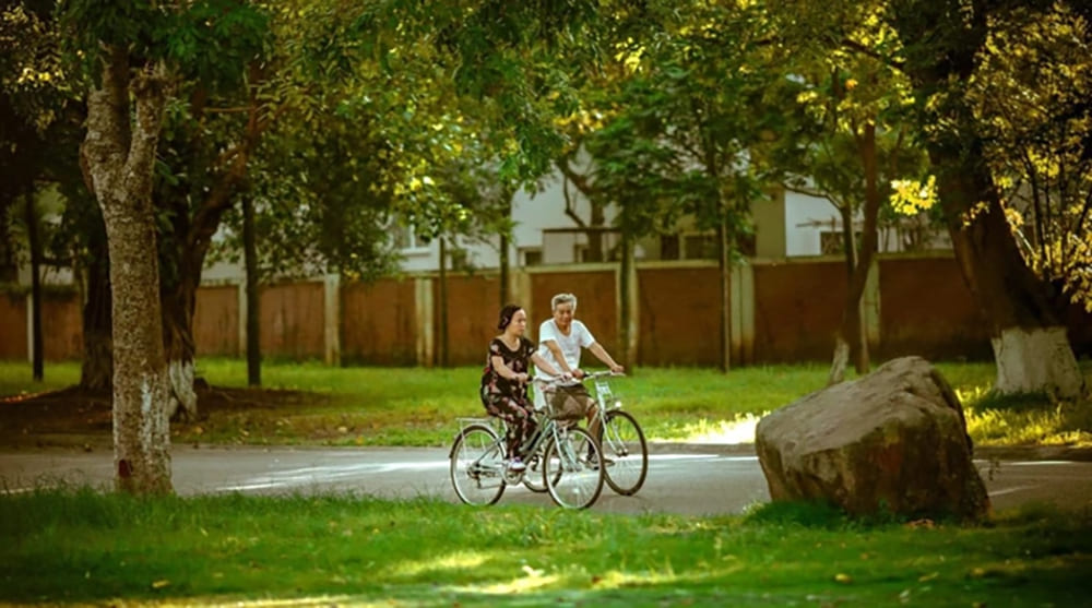 rối loạn tiền đình ở người già