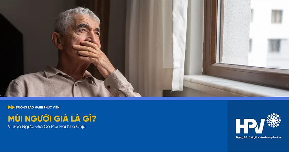 mùi người già