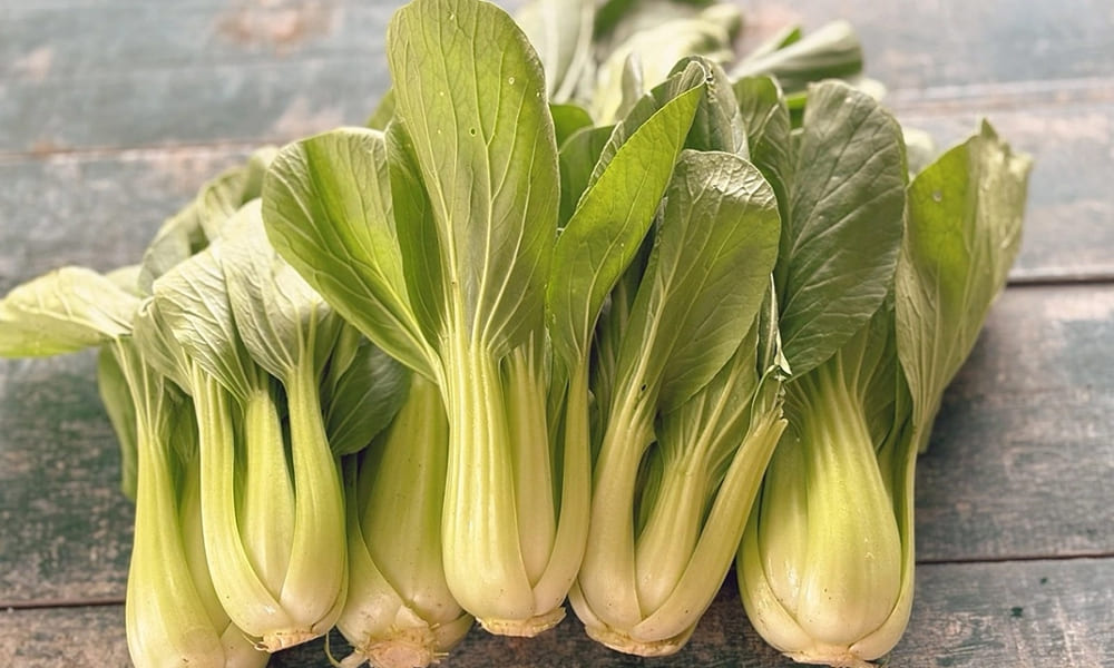 người già bị viêm phổi nên ăn gì