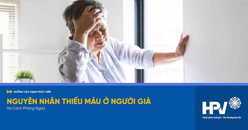 nguyên nhân thiếu máu ở người già