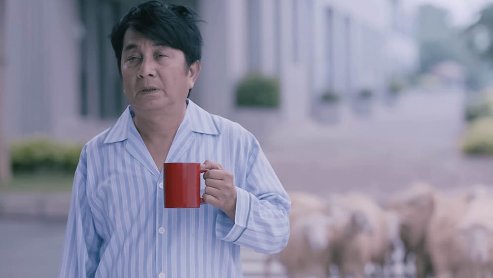 suy giảm trí nhớ ở người già