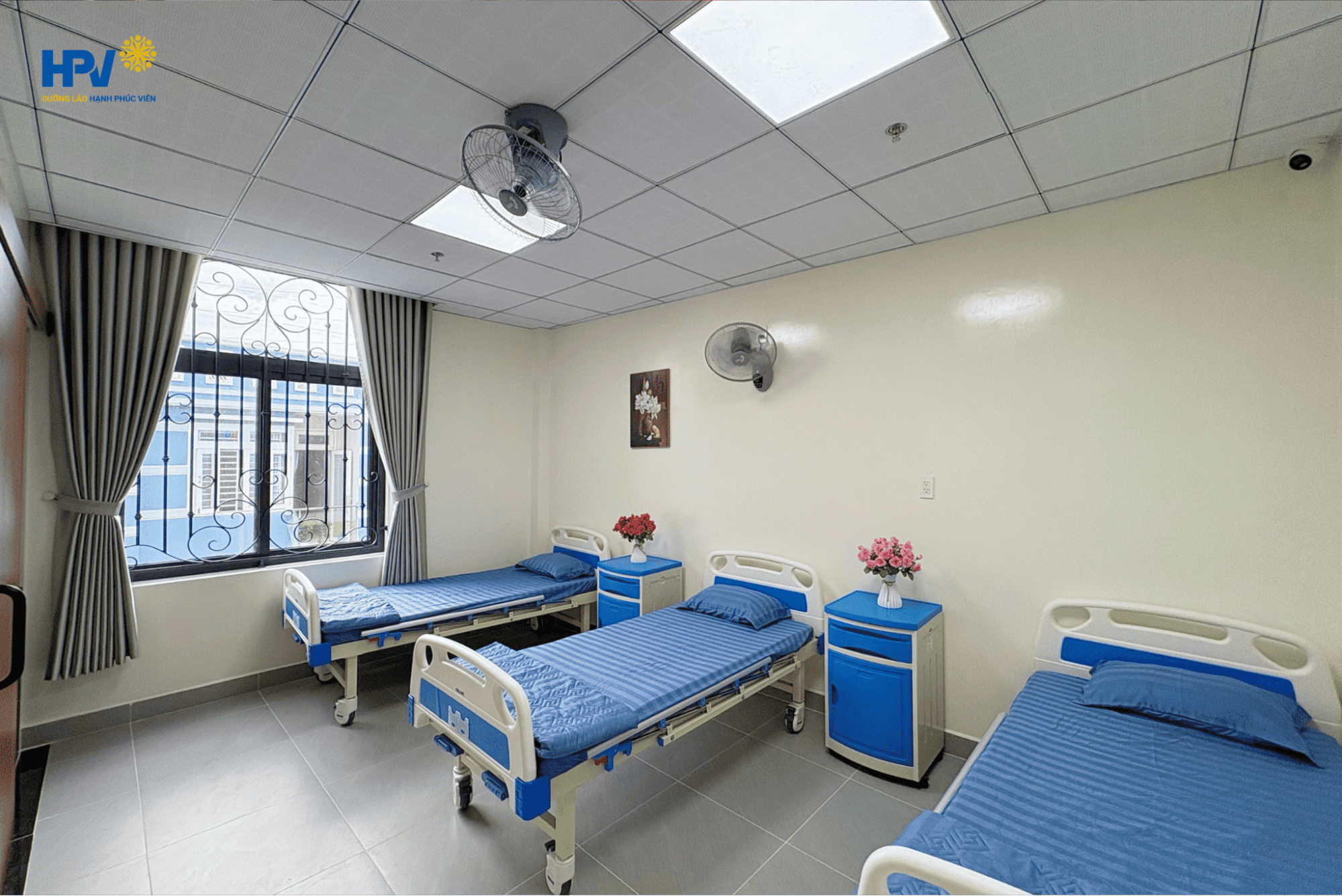 tìm người chăm người già