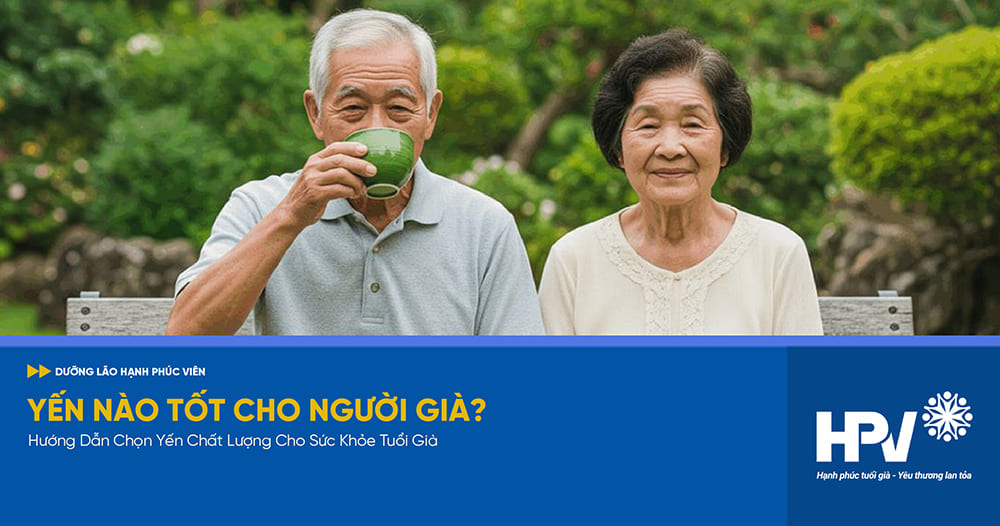 yến nào tốt cho người già